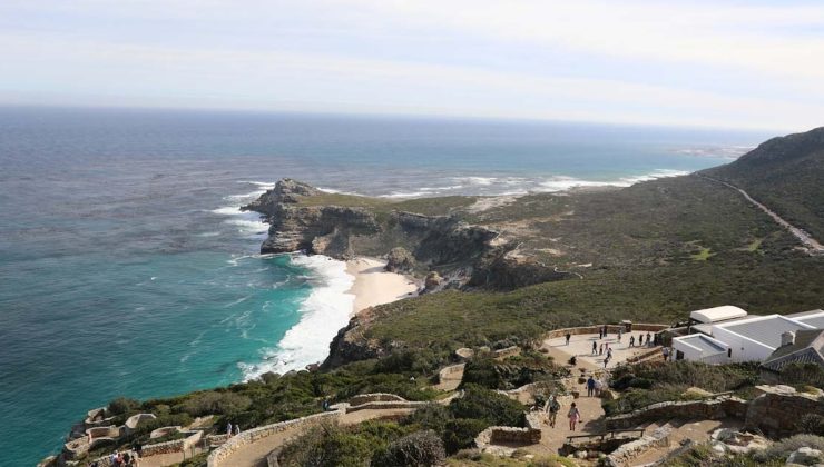 Masa Dağı Ulusal Parkı: Cape Town’un büyüleyici doğal güzelliği